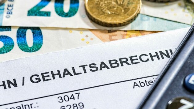 35.590 Euro verdienten Steirerinnen und Steirer im Jahr 2021 durchschnittlich pro Jahr (brutto) (Bild: Lothar Drechsel/stock.adobe.com)
