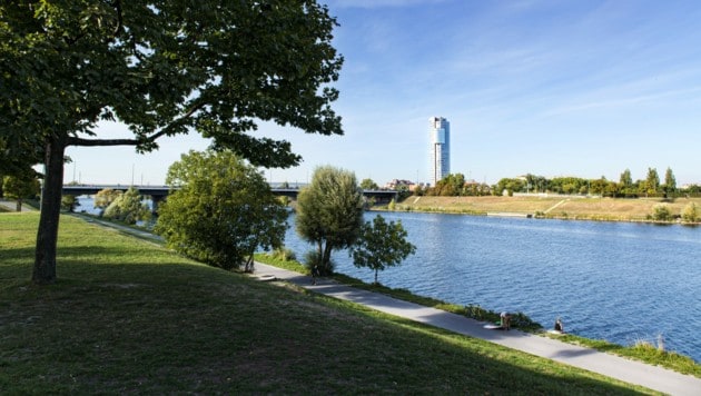 Die Donauinsel in der Nähe des Einsatzortes (Bild: stock.adobe.com)