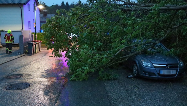 A fallen tree on a car (archive image) (Bild: APA/LAUMAT.AT/MATTHIAS LAUBER)