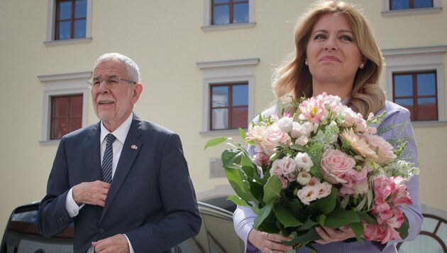 Bundespräsident Alexander Van der Bellen holte nun seine wegen der Corona-Krise verschobene Reise zur slowakischen Amtskollegin Zuzana Caputova nach. (Bild: APA/BUNDESHEER/PETER LECHNER)