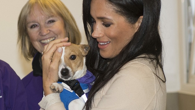 Herzogin Meghan liebt Hunde. Das Foto zeigt sie beim Besuch eines Tierschutzhauses in Großbritannien. (Bild: ROTA / Camera Press / picturedesk.com)