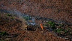 Ein Waldbrand im Amazonas-Regenwald - dokumentiert von Greenpeace (Bild: © Christian Braga / Greenpeace)