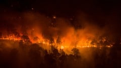 Gewaltige Brände suchen derzeit wieder Sibirien heim (Archivbild). (Bild: Julia Petrenko/Greenpeace)