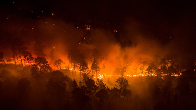 Huge fires are currently ravaging Siberia again (archive image). (Bild: Julia Petrenko/Greenpeace)