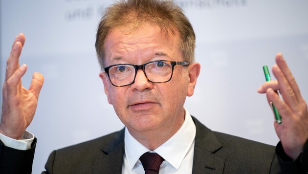 Gesundheitsminister Rudolf Anschober (Grüne) (Bild: APA/GEORG HOCHMUTH)