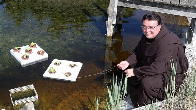 Pater Thomas Lackner zeigt, wie einfach die Salataufzucht im Klosterteich funktioniert: „Wir schlagen zwei Fliegen mit einer Klappe.“ (Bild: Reinhard Judt)