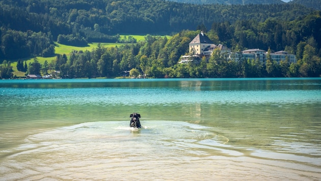 Fuschlsee, Salzkammergut (Bild: ©David Pastyka - stock.adobe.com)