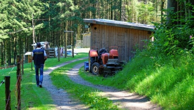 Der Tatort im Wald in Neustift/M. Hier soll Otto L. (60) Gabriela K. (59) erwürgt haben. (Bild: Horst Einöder/ Flashpictures)