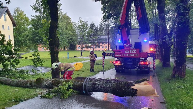 In Saalfelden mussten viele umgestürzte Bäume beseitigt werden. (Bild: Freiwillige Feuerwehr Saalfelden)