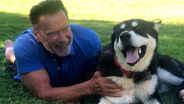 Arnold Schwarzenegger mit seinem Hund „Dutch“ (Bild: twitter.com/Arnold)