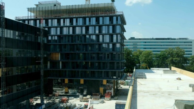 Der neue Campus der Med-Fakultät wird gerade gebaut (Bild: Horst Einöder)