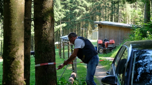 Der Tatort im Wald: In dieser Hütte wurde Gabriela G. aufgehängt (Bild: Einöder Horst)