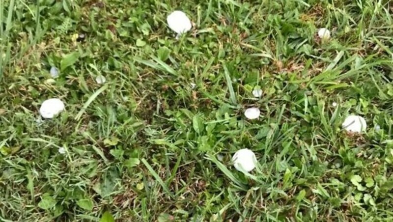 Hagel in Kühnsdorf am 29. Juli 2020 (Bild: Alexander Schwab)