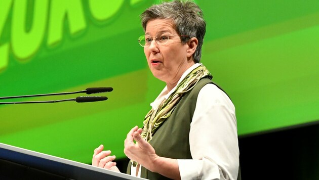 Regina Petrik übt Kritik am Pflegemodell der SPÖ. (Bild: APA/Barbara Gindl)