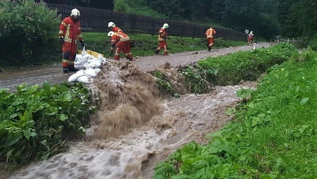 Am Alpl hatten die Florianis alle Hände voll zu tun. (Bild: BFVMZ)