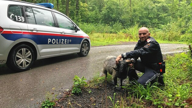 Die Wiener Polizei konnte am Mittwoch die letzten „Ausreißer“ einfangen. (Bild: LPD Wien)