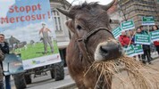 Bauernproteste gegen den Mercosur-Pakt