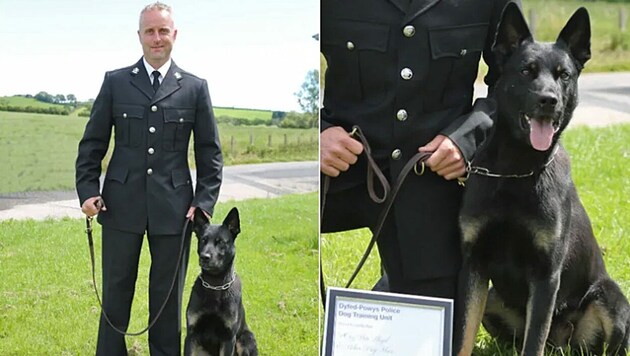 Peter Lloyd und Polizeihund „Max“ (Bild: Dyfed Powys Police)