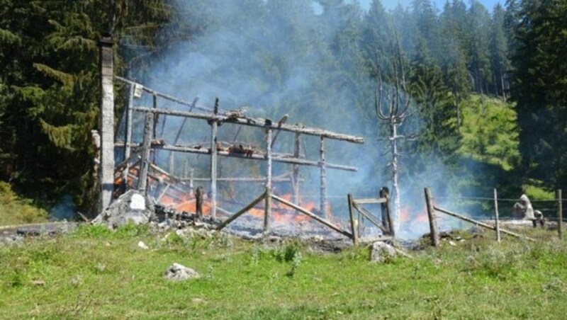 Feuerwehr konnte ein Übergreifen der Flammen auf den Wald verhindern (Bild: Feuerwehr Abtenau)