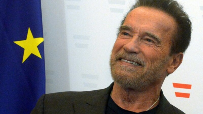Arnold Schwarzenegger (Bild: APA/HERBERT PFARRHOFER)