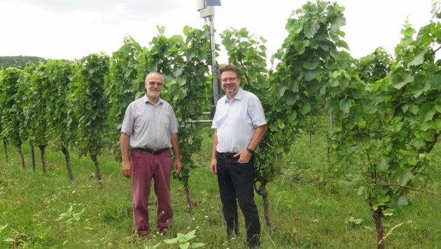Die Messgeräte in einem Weingarten in Großhöflein werden regelmäßig überprüft. (Bild: climvino.eu)