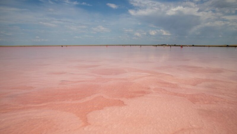 Der rosa See Kobeituz in Kasachstan (Bild: ©Kira0Kirina - stock.adobe.com)