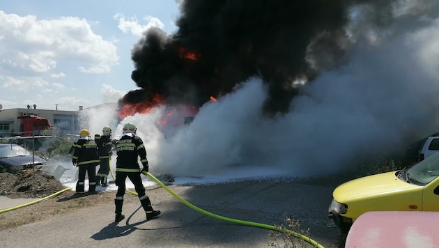 Meterhohe Flammen schlugen aus der dunklen Rauchsäule (Bild: Presseteam der FF Wiener Neustadt)