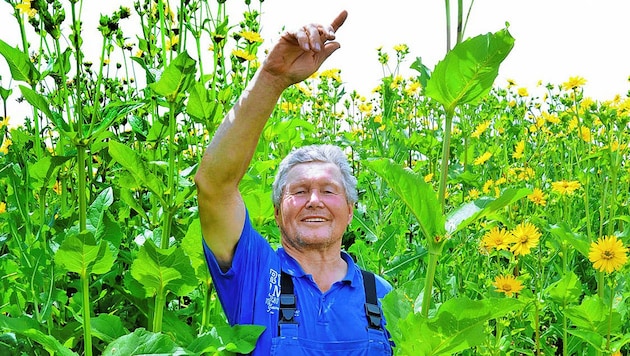 Landwirt Josef Dörfler mit seiner Goliath-Pflanze. (Bild: Franz Crepaz)