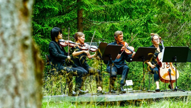 Im Kötschachtal spielten Jiachen, Tatiana, Maxim, Timea und Emmanuelle für 40 musikbegeisterte Naturliebhaber ein Waldklassikkonzert. (Bild: Gerhard Schiel)