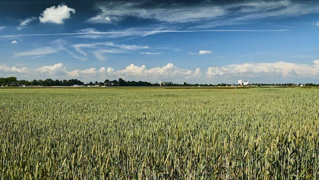 Wertvolles Ackerland und Biotope sollen geopfert werden. (Bild: zVg)