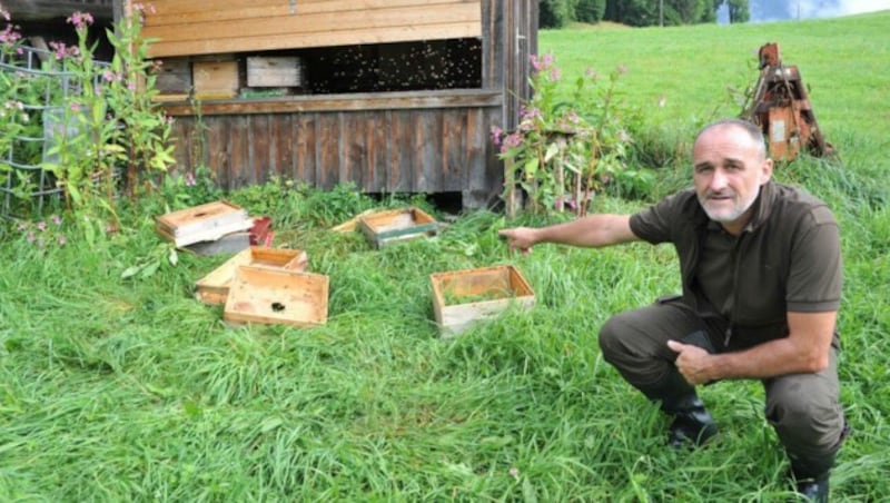 Der Bienenstock von Stefan Simschitz (Almhalter auf der Poludniger Alm) aus Mellweg wurde Opfer des Bären. Am Bild der Jagdobmann der Jagdgemeinschaft Egg, Wolfgang Fercher. (Bild: SOBE HERMANN 9232 ROSEGG)