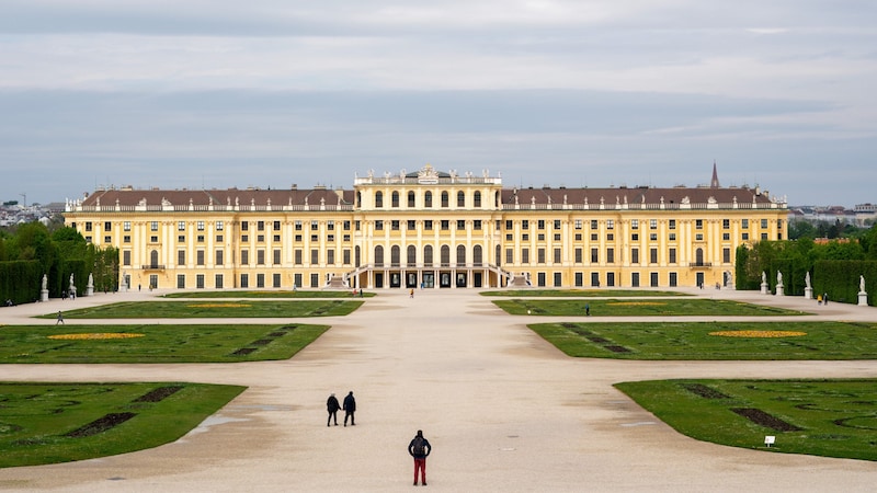 Das Schloss Schönbrunn in Wien (Bild: APA/GEORG HOCHMUTH)