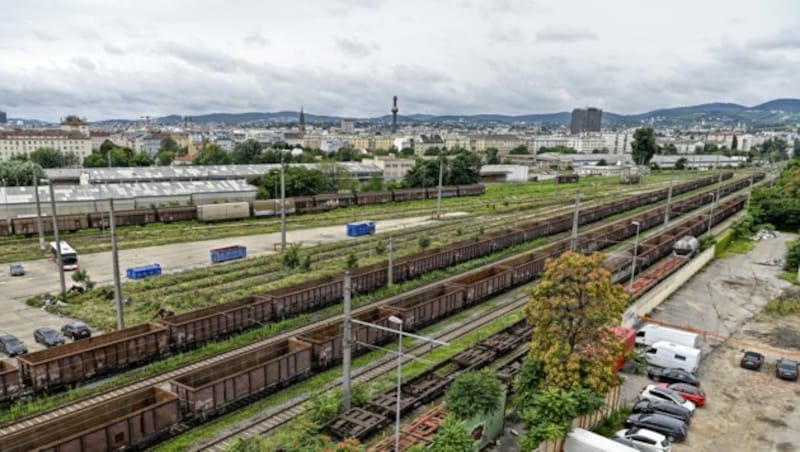 Stadtentwicklungsgebiet am Nordwestbahnhofgelände (Bild: APA/HERBERT NEUBAUER)