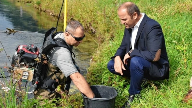 Wollen den Grund für den Fischrückgang klären: Richard Schwarzenberger (H&S Limnologie) und LH-Stv. Josef Geisler (rechts). (Bild: Land Tirol/Entstrasser-Müller)