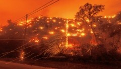 In Kalifornien wüten derzeit bei großer Hitze Hunderte Feuer. (Bild: AP/Noah Berger)