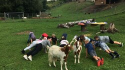 Yoga inmitten der süßen Ziegen macht natürlich viel Spaß. (Bild: Willemine Van Ee)