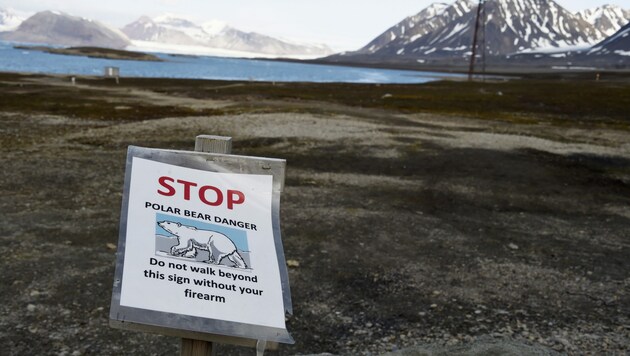 Warnung vor Eisbären auf der norwegischen Inselgruppe Spitzbergen (Bild: AFP)