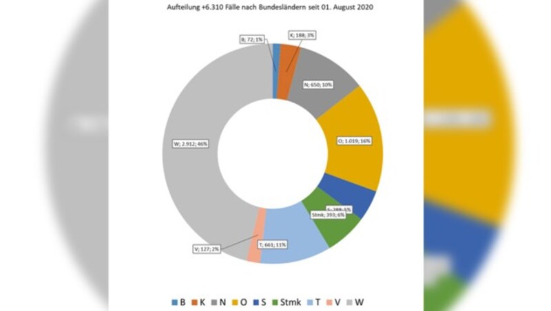 (Bild: Krisenstab, krone.at-Grafik)