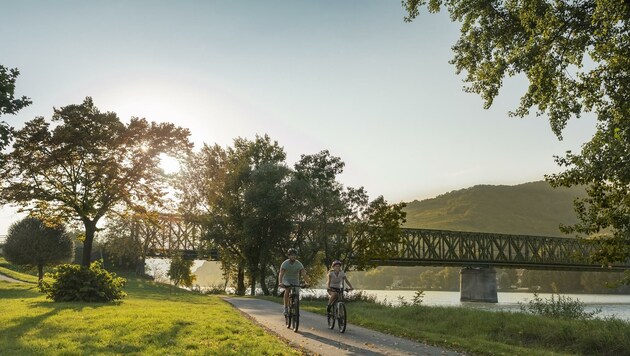 Idyllisch, aber baufällig? Die Lebensdauer der Donaubrücke wird aktuell gerade begutachtet. (Bild: David Schreiber)