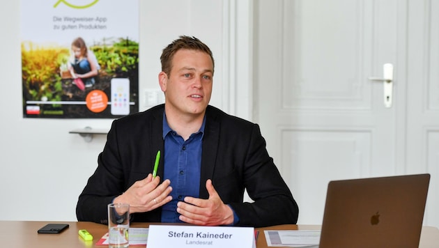 Landesrat Stefan Kaineder sieht jetzt die Chance für Umwelt. (Bild: Dostal Harald)