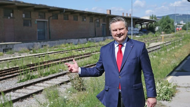 Bürgermeister Michael Ludwig in der Ödnis des Nordwestbahnhof-Areals, das völlig umgebaut wird. (Bild: Tomschi Peter)