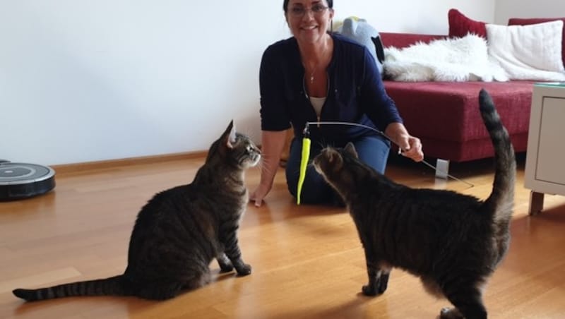 Katzencoach Petra Ott besuchte die Familie in ihrem Zuhause. (Bild: Petra Ott)