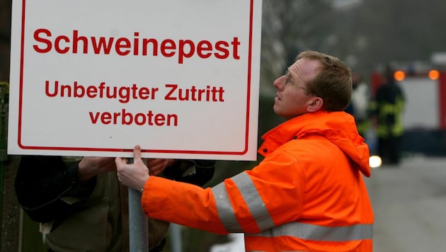 Es ist nicht der erste Schweinepest-Fall in Deutschland, auch vor Jahren wurden schon Warnschilder aufgestellt. (Bild: APA/dpa/dpaweb)