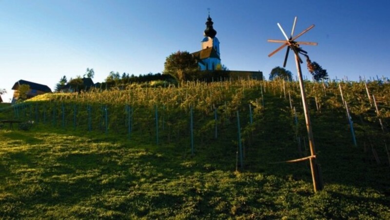 Bei der Kirche in St. Georgen am Weinberg gedeiht Wein. (Bild: Tragner Christian)