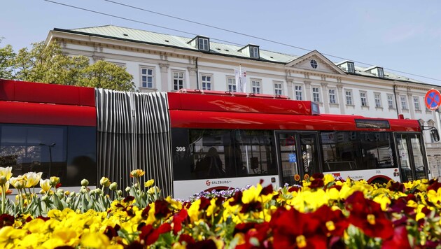 Die Obusse dürften noch länger zur Salzburg AG gehören. (Bild: Tschepp Markus)