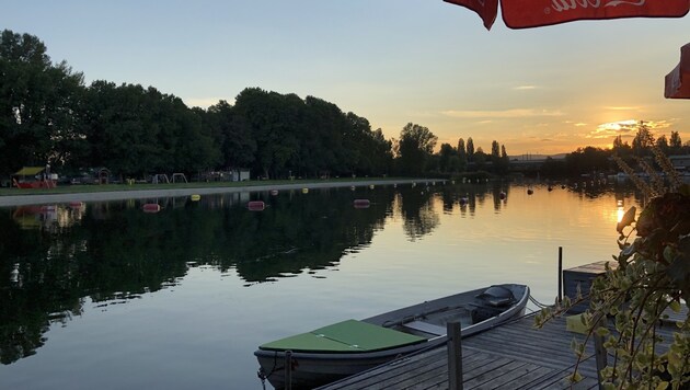 Ein besinnlicher Abend bei der alten Donau (Bild: Leserreporter/ Andrea K.)