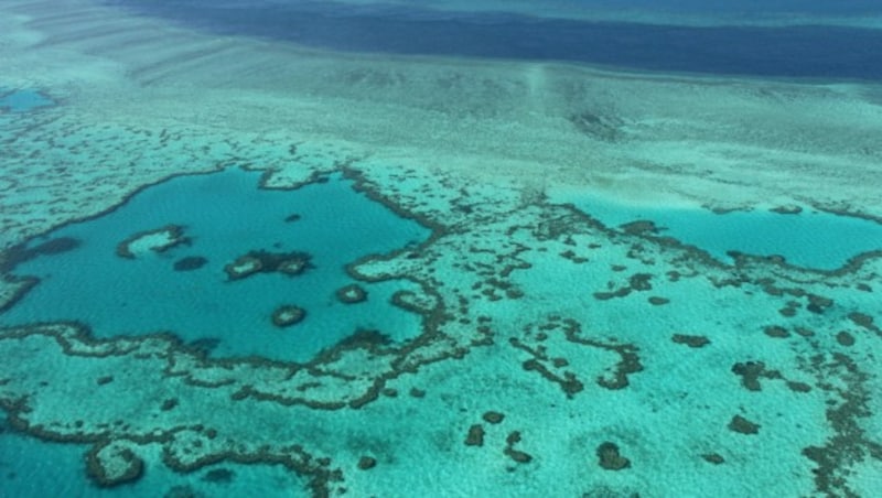 Das Great Barrier Reef (Bild: AFP)