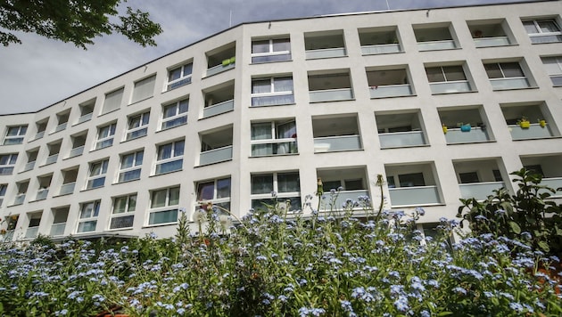 Kleinere Wohnungen werden in Salzburg zunehmend beliebter und sind gefragt wie nie (Bild: Tschepp Markus)