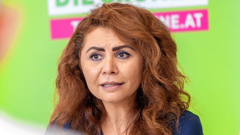 Nationalratsabgeordnete Berivan Aslan, Grüne (Bild: Grüne)