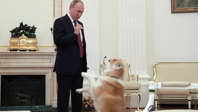 Alles hört auf sein Kommando - wie lange noch? Kremlchef Putin. (Bild: AFP)